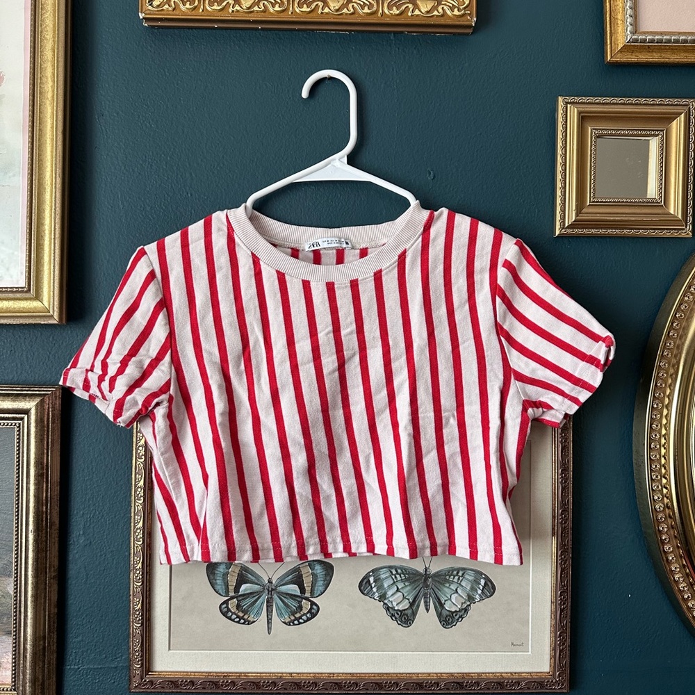 Zara striped crop top